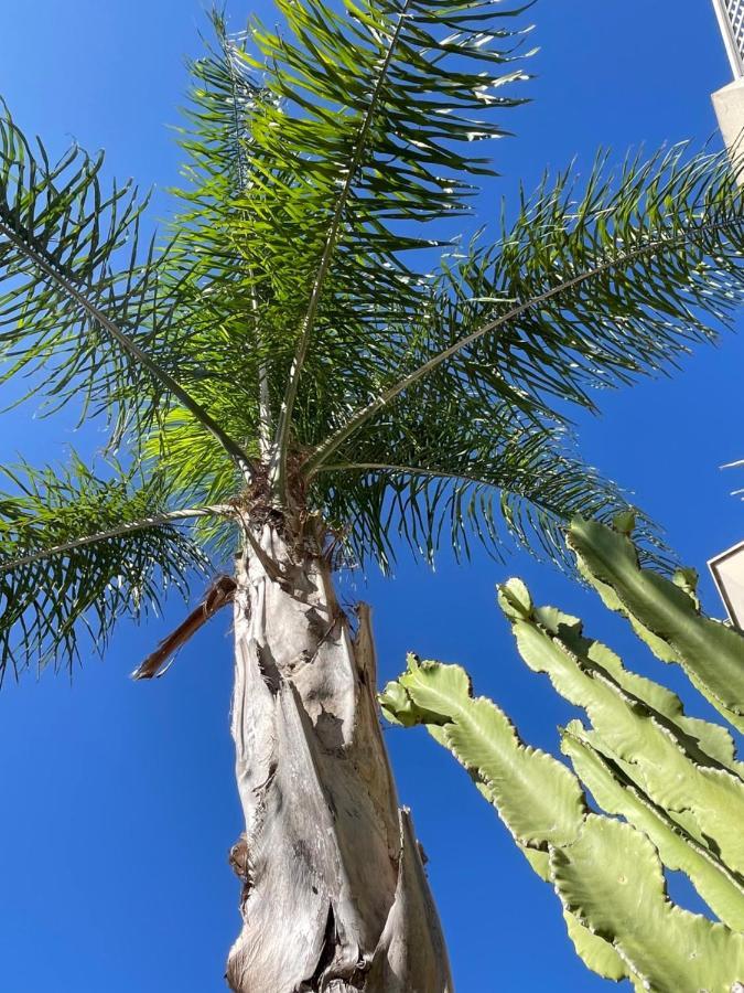Ancora Del Salento Villa Lecce Dış mekan fotoğraf
