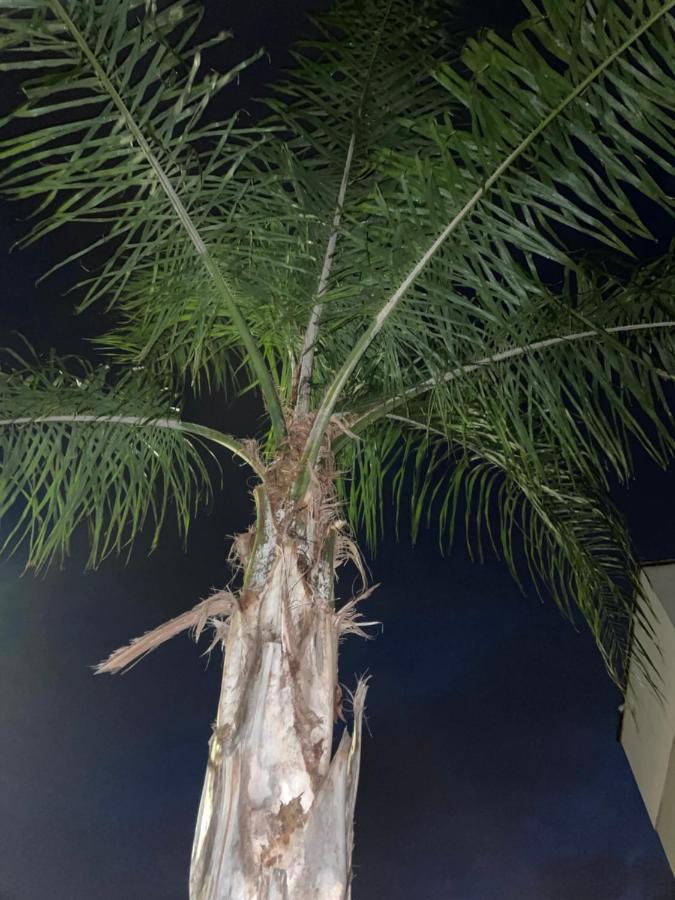 Ancora Del Salento Villa Lecce Dış mekan fotoğraf
